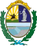 Blason de Salto