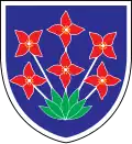 Blason de Šalovci