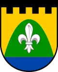 Blason de Frymburk