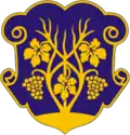 Blason de Oujhorod