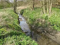Photo d'un ruisseau coulant entre des berges couvertes d'herbe.
