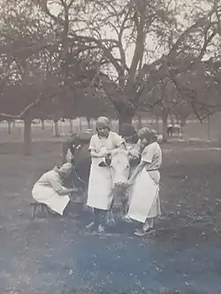 Description de cette image, également commentée ci-après