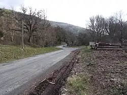 Départ de la route forestière de la forêt des Fanges au col du Campérié
