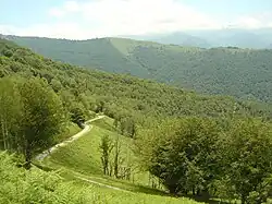 Vue sur la route dans le dernier kilomètre à découvert, avec des champs de fougères. Plus loin au centre-gauche La Ruère et ses prairies (1&nbsp;326&nbsp;m).