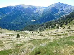 Vue depuis le Coll Mitjà vers le sud.