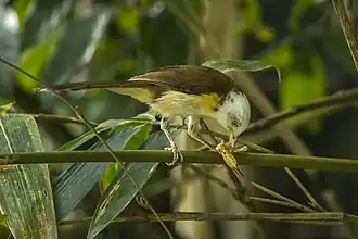 Description de cette image, également commentée ci-après