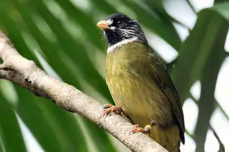 Description de cette image, également commentée ci-après