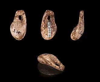 Dent percée pour parure,La Madeleine (Dordogne)- Muséum de Toulouse