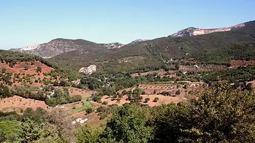 Collines métallifères vues de Campiglia Marittima