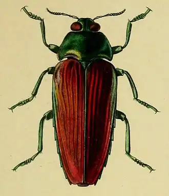 Description de cette image, également commentée ci-après