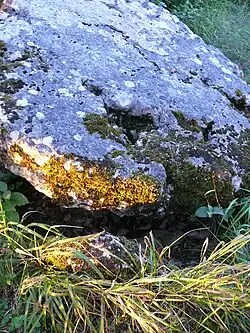 Le dolmen de la Pierre-qui-Vire.