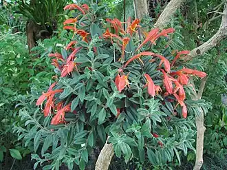 Description de cette image, également commentée ci-après