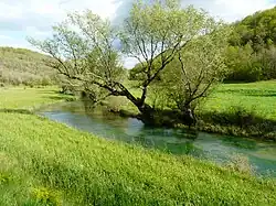 Un kilomètre en aval de la Doux
