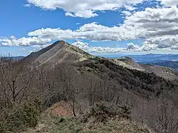 Vue du puig de Coma Negra depuis l'ouest.