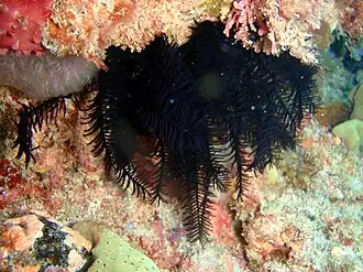 Description de cette image, également commentée ci-après