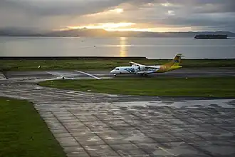 Image illustrative de l’article Aéroport Daniel Z. Romualdez