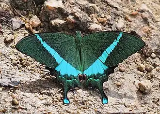 Description de cette image, également commentée ci-après