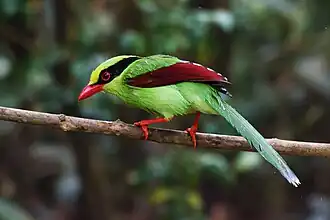 Description de cette image, également commentée ci-après