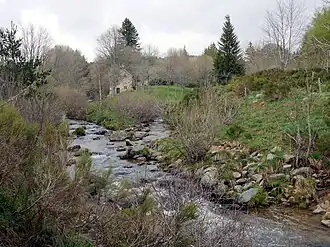 Confluence de l'Aigue Nègre (à gauche) et de la Loire (à droite) au printemps.