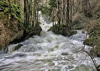 Cascade du Dessoubre en aval de sa source.