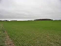 Photographie en couleurs d'un champ cultivé avec un bois à l'horizon.