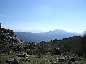 Cortes de la Frontera