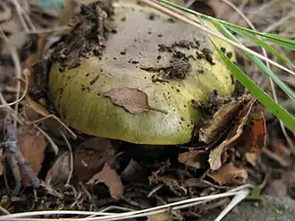 Description de cette image, également commentée ci-après