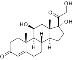 Image illustrative de l’article Cortisol