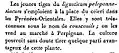 Description du couscouil en 1808.