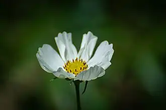 Écomusée d'Alsace, Ungersheim