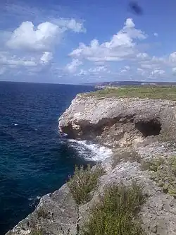 Une côte marine