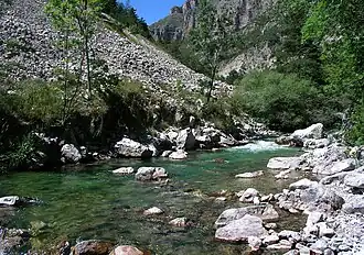 Après la coloration des lacs de Lignin, le Coulomp coule vert à Aurent.