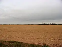Photographie en couleurs de champs labourés jusqu'à l'horizon barré par un bois.
