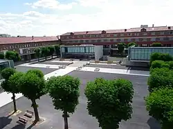 cour vide d'un lycée, arbres.