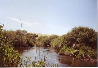 À l'approche de la mer, au fond les dunes.