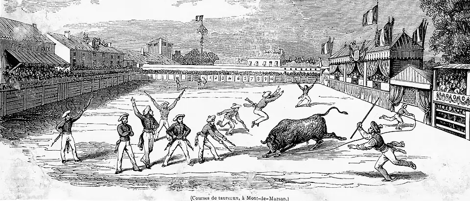 Courses de taureaux à Mont-de-Marsan (1845-1875)