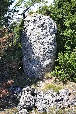 Menhir de Montaymat.