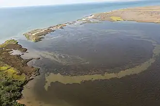 Glenn Martin National Wilflife Refuge