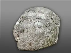 Crâne surmodelé du néolithique conservé au musée archéologique d'Amman.