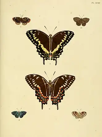 Description de l'image Cramer&Stoll-uitlandsche kapellen vol. 1- plate 093.jpg.