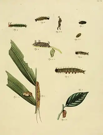 Description de l'image CramerAndStoll-uitlandsche kapellen supplement- pl. 06.jpg.