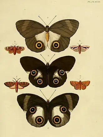 Description de l'image CramerAndStoll-uitlandsche kapellen vol. 2- plate 185.jpg.