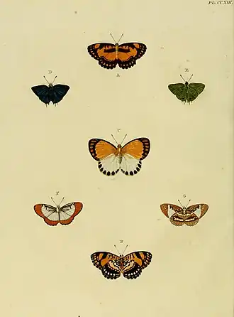 Description de l'image CramerAndStoll-uitlandsche kapellen vol. 3- pl 213.jpg.