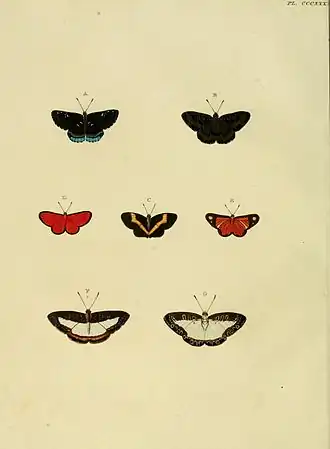 Description de l'image CramerAndStoll-uitlandsche kapellen vol. 4- pl 335.jpg.