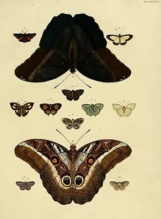 Description de l'image CramerAndStoll-uitlandsche kapellen vol. 4- pl 390.jpg.