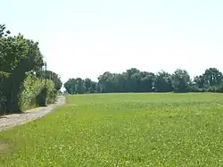 Pré pour foin de Crau.