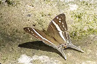 Description de cette image, également commentée ci-après