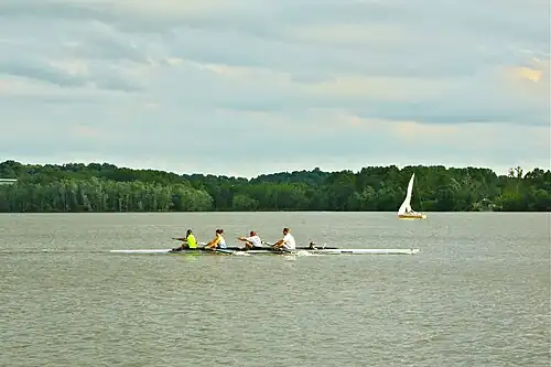 Pratique actuelle de l'aviron.