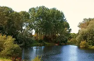 Aperçu du fort Crèvecœur au 25 septembre 2010.