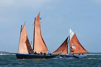 illustration de Crialeïs